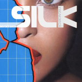 SILK defect data